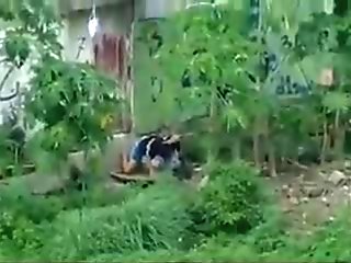 indonesian- ngintip jilbab ngentot belakang bangunan